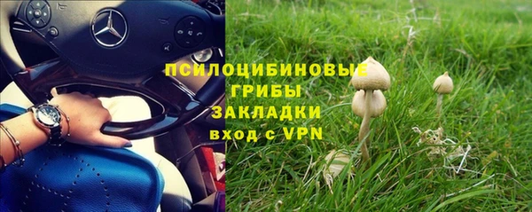 гидропоника Арсеньев