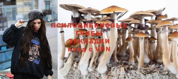 стафф Аркадак