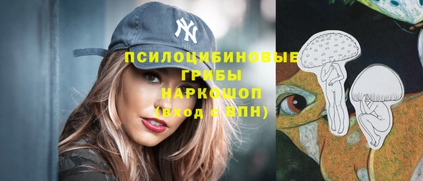 стафф Аркадак